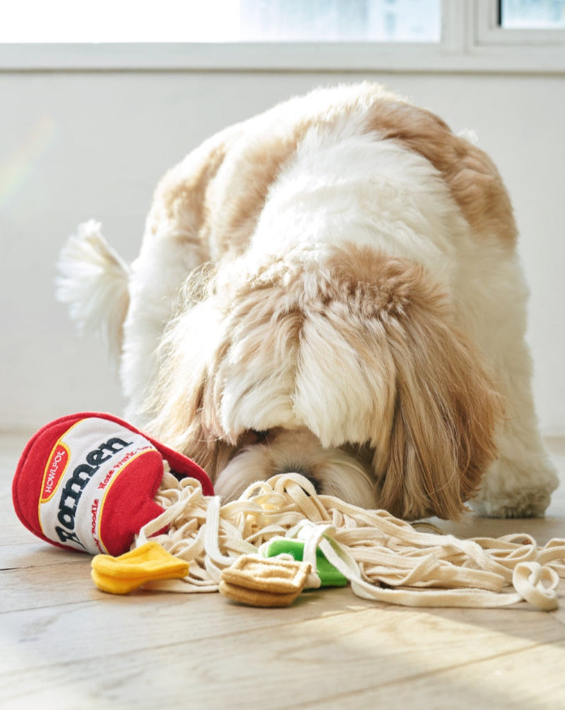 Ramen Noodle Nosework Dog Toy Dog Toys HOWLPOT   