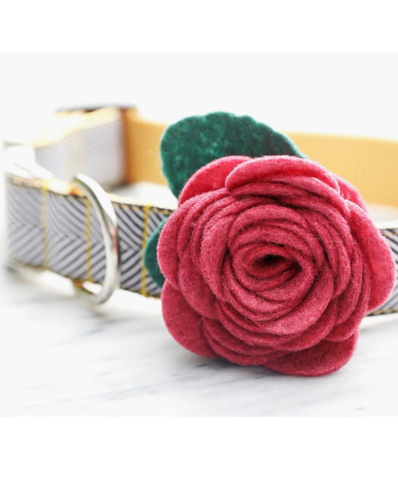 Ruby Pink Rose Dog Collar Flower (Made in the USA) Wear MIMI GREEN   