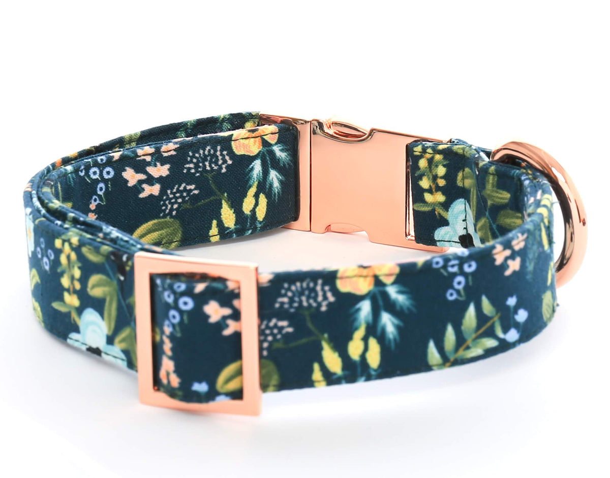 Foggy hotsell dog collar