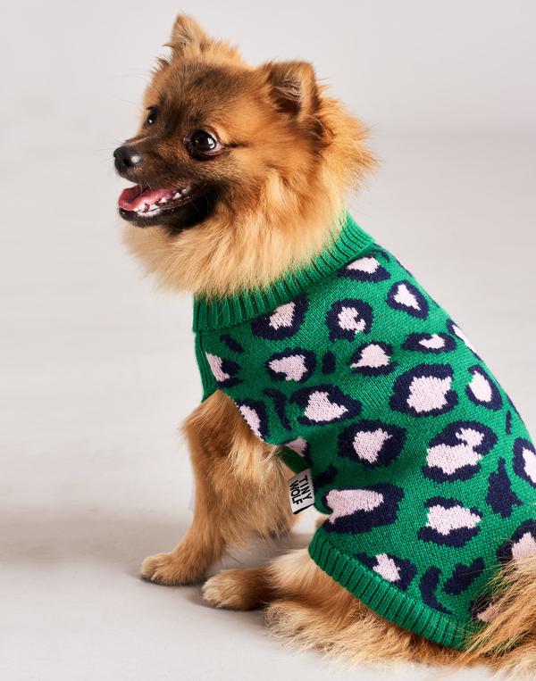 Tiny wolf dog jumpers 2025