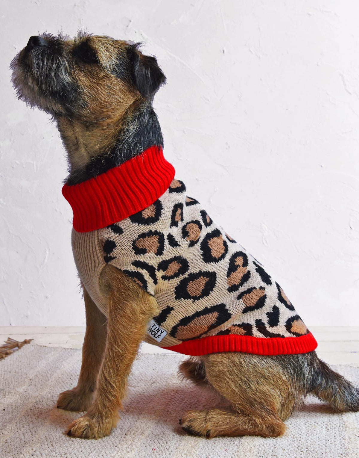 Dog print jumper sales