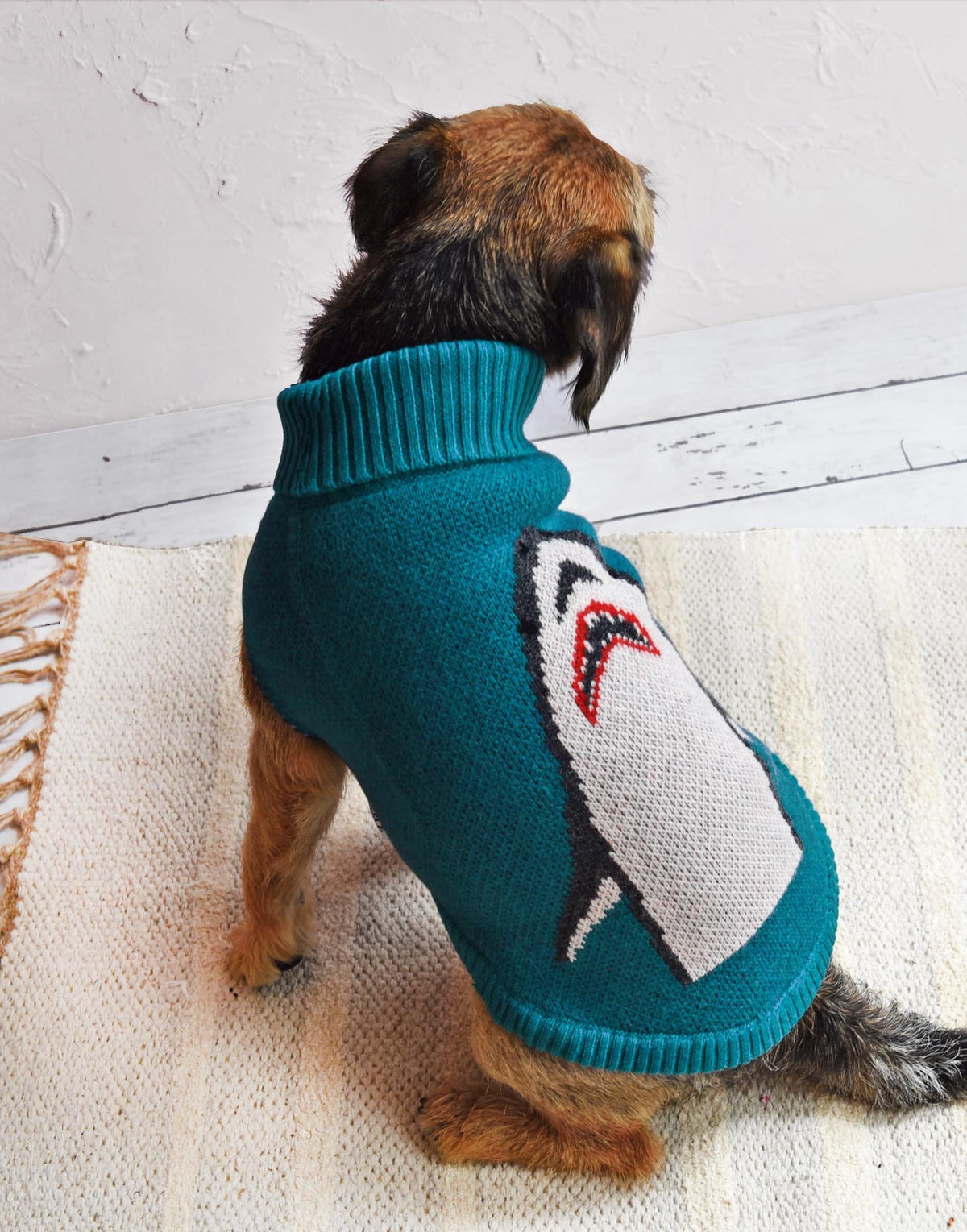 Dog shark sweater cheap