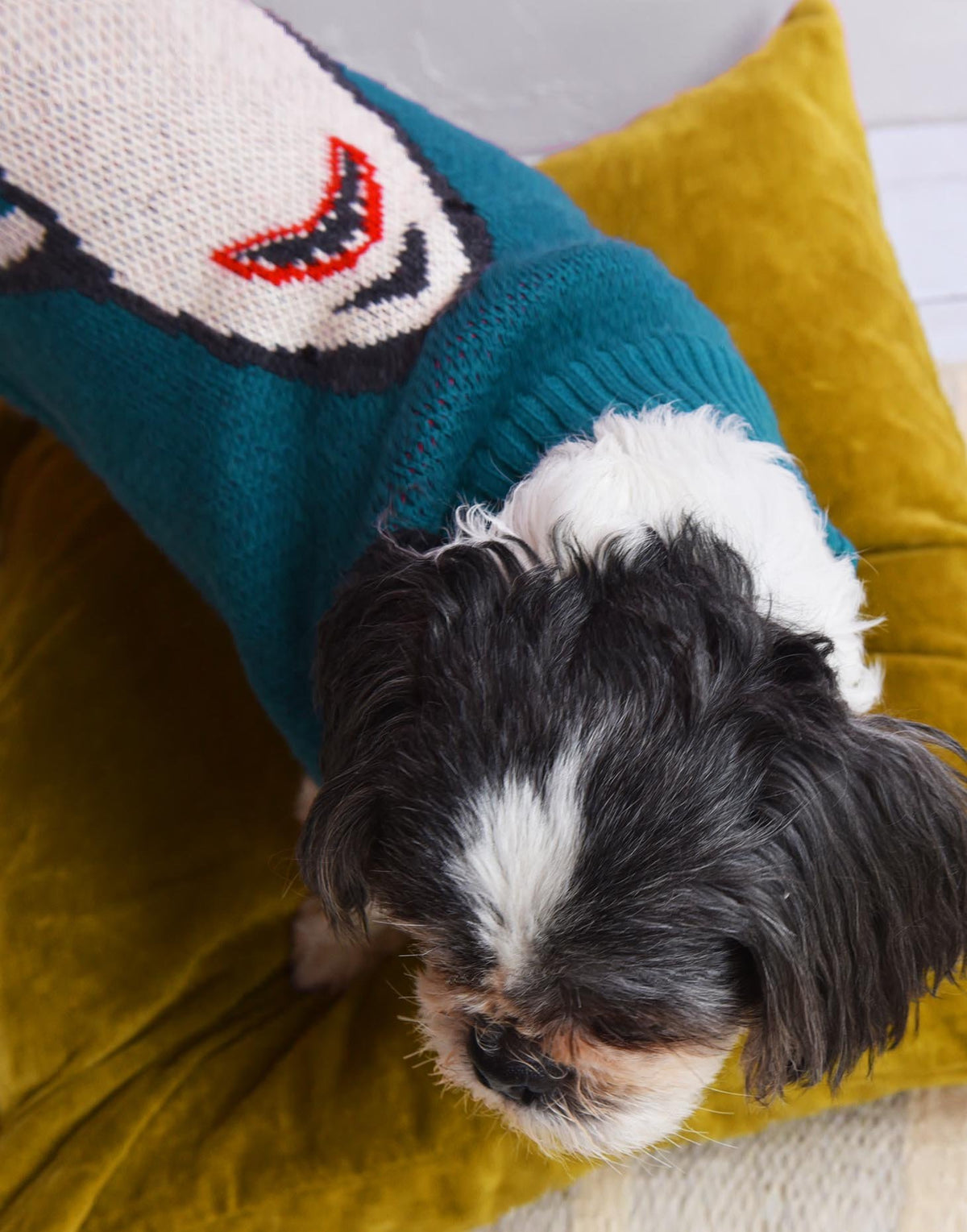 Tiny wolf sales dog jumpers