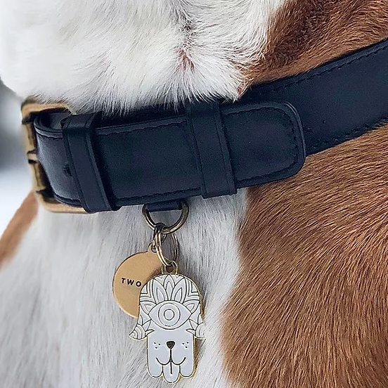 Personalized Dark Blue Leather Dog Collar Designer Dog 