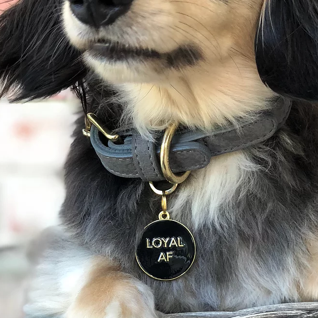 Loyal AF ID Tag (Custom/Drop-Ship) (Made in the USA) DROP-SHIP TWO TAILS PET COMPANY   