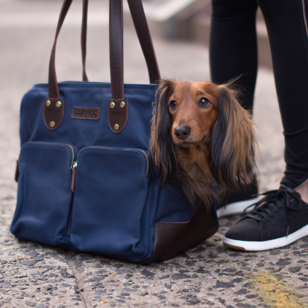 DJANGO Waxed Canvas Leather Pet Tote in Navy DOG CO