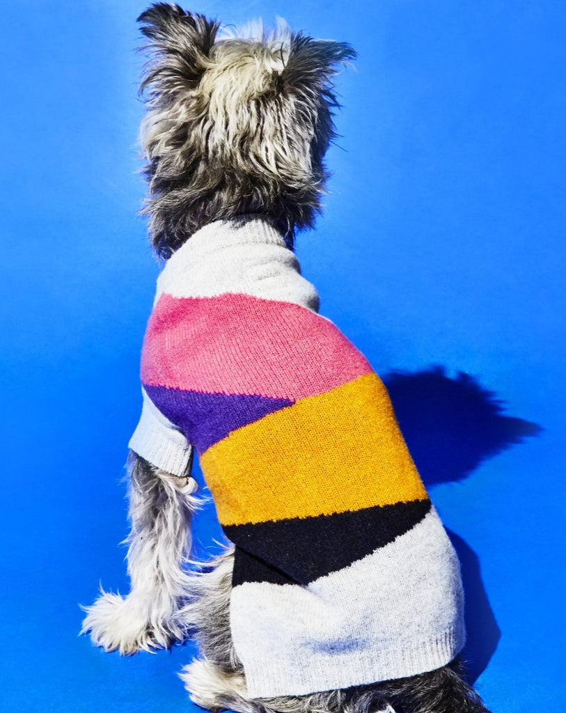 Asymmetric Dog Sweater in Grey << FINAL SALE >> Wear WARE OF THE DOG   