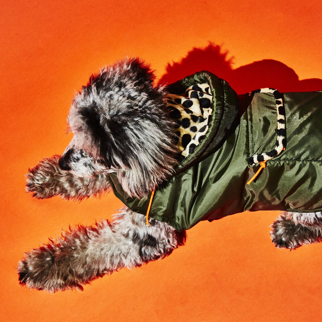 Olive w/ Animal Print Lining Puffer Dog Coat (FINAL SALE) Wear WARE OF THE DOG   