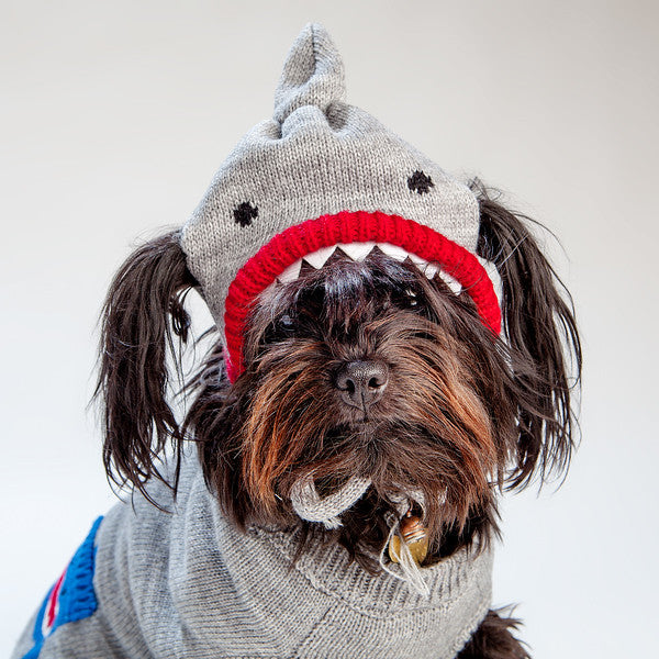 Dog outlet shark hat