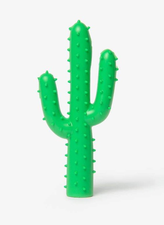 Silly Succulent Cactus Rubber Dog Toy Play WAGGO   