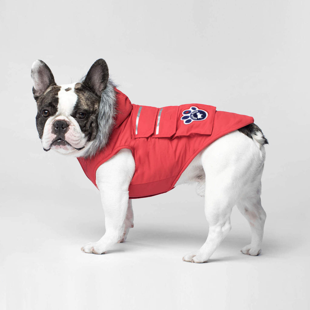 CANADA POOCH | Everest Explorer Vest in Red (BIG DOG SALE) Coats & Jackets CANADA POOCH   