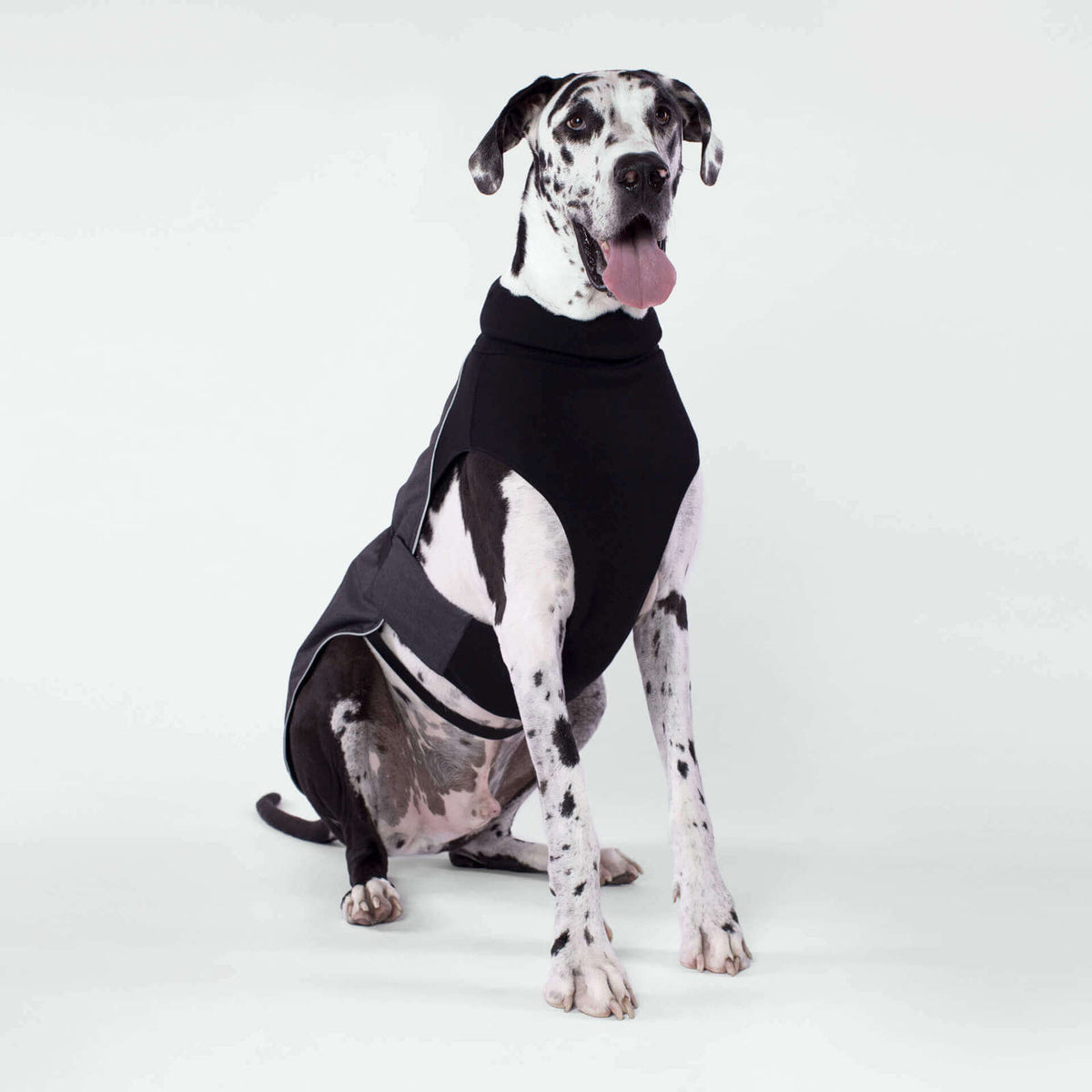 CANADA POOCH The Expedition Coat in Charcoal BIG DOG SALE DOG CO
