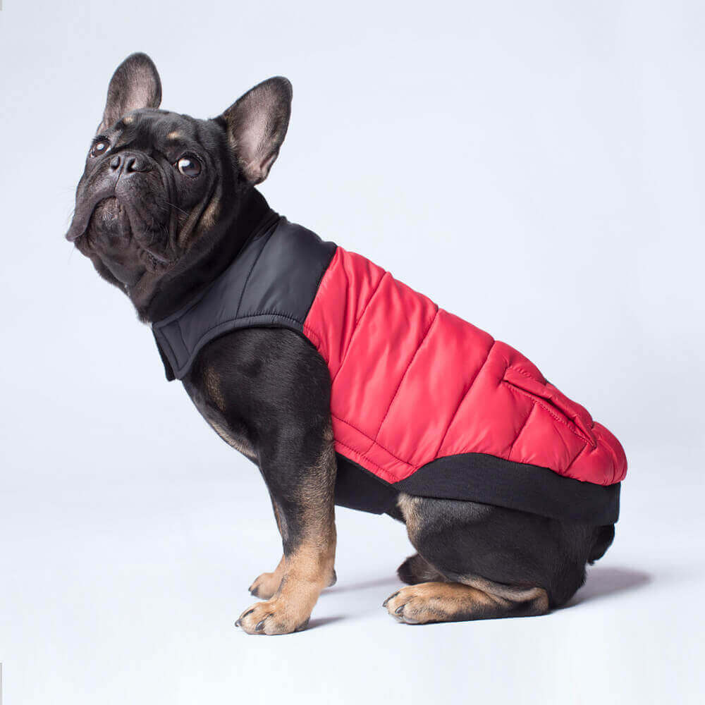 Canada Pooch Summit Stretch Plum Vest for Dogs Canada Pooch Summit Stretch Plum Vest for Dogs