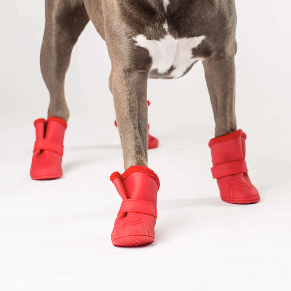 Canada pooch wellies on sale
