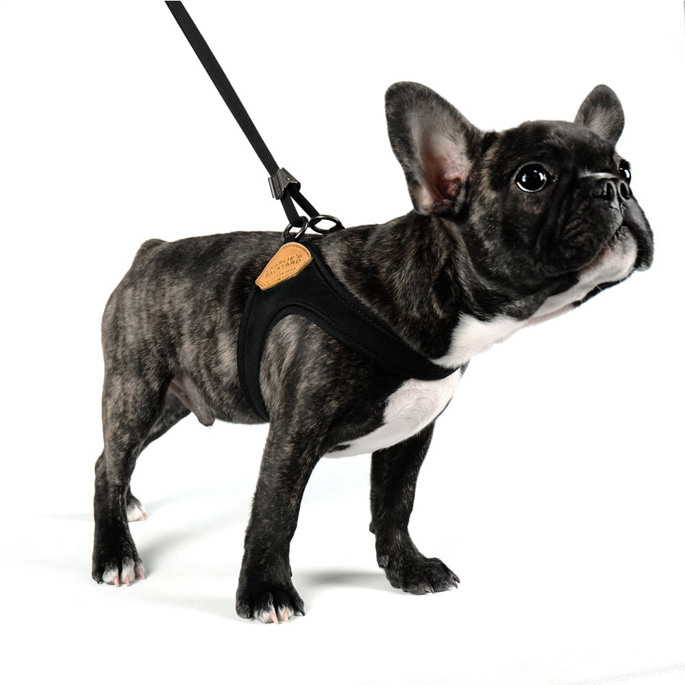 Adjustable Easy Dog Harness in Black WALK CHARLIE'S BACKYARD   
