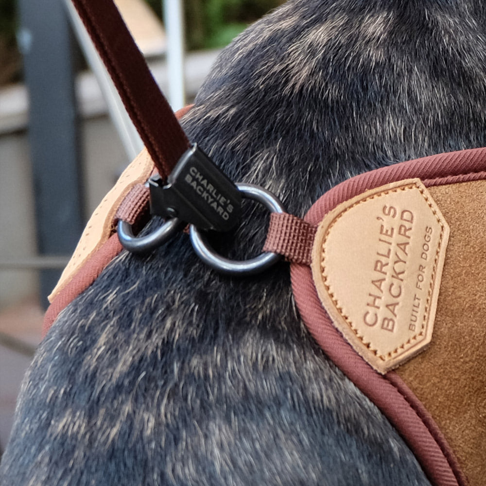 Adjustable Easy Dog Harness in Tan WALK CHARLIE'S BACKYARD   