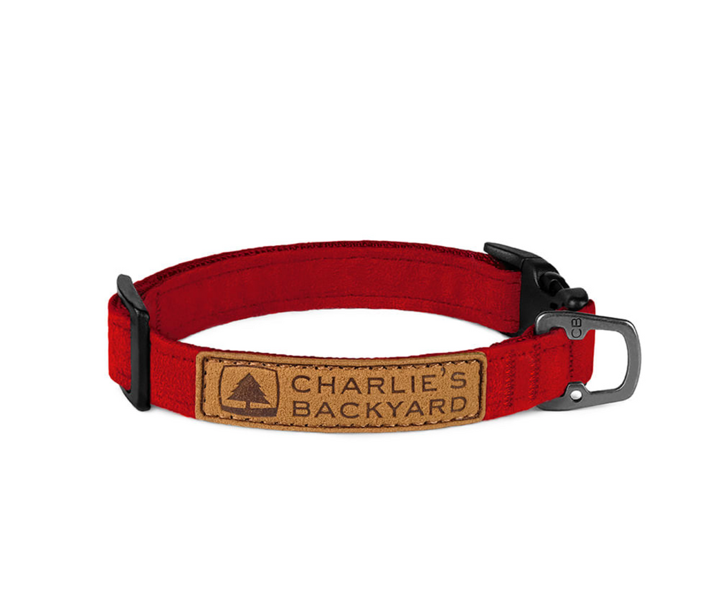 Easy Dog Collar in Red WALK CHARLIE'S BACKYARD   
