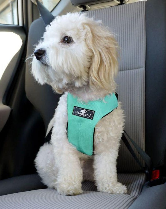 Sleepypod sales dog harness