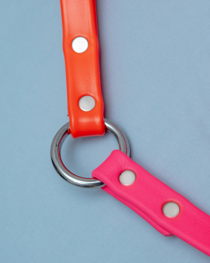 City Leash in Neon Pink & Neon Orange (4 or 6 Foot) (Made in the USA) WALK DOG & CO. COLLECTION   