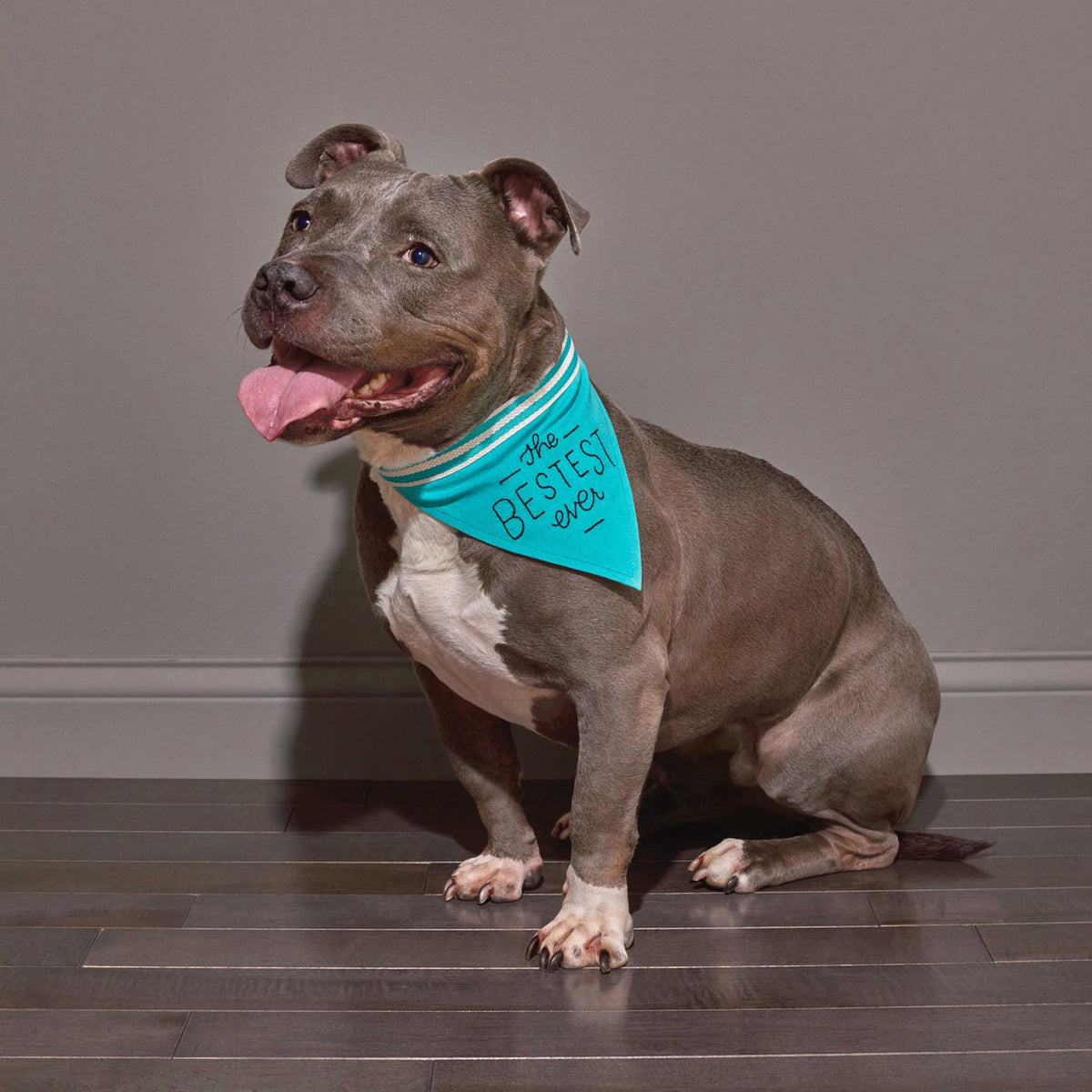 EASY TIGER Bestest Bandana DOG CO