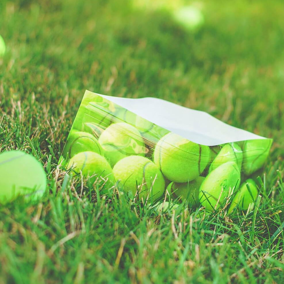 Tennis Ball Dog Water Bowl Set of 2