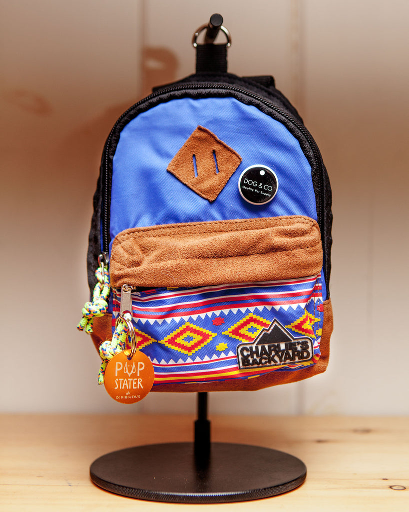 CHARLIE'S BACKYARD | Charlie's Bag Backpack in Royal Blue Walk CHARLIE'S BACKYARD   