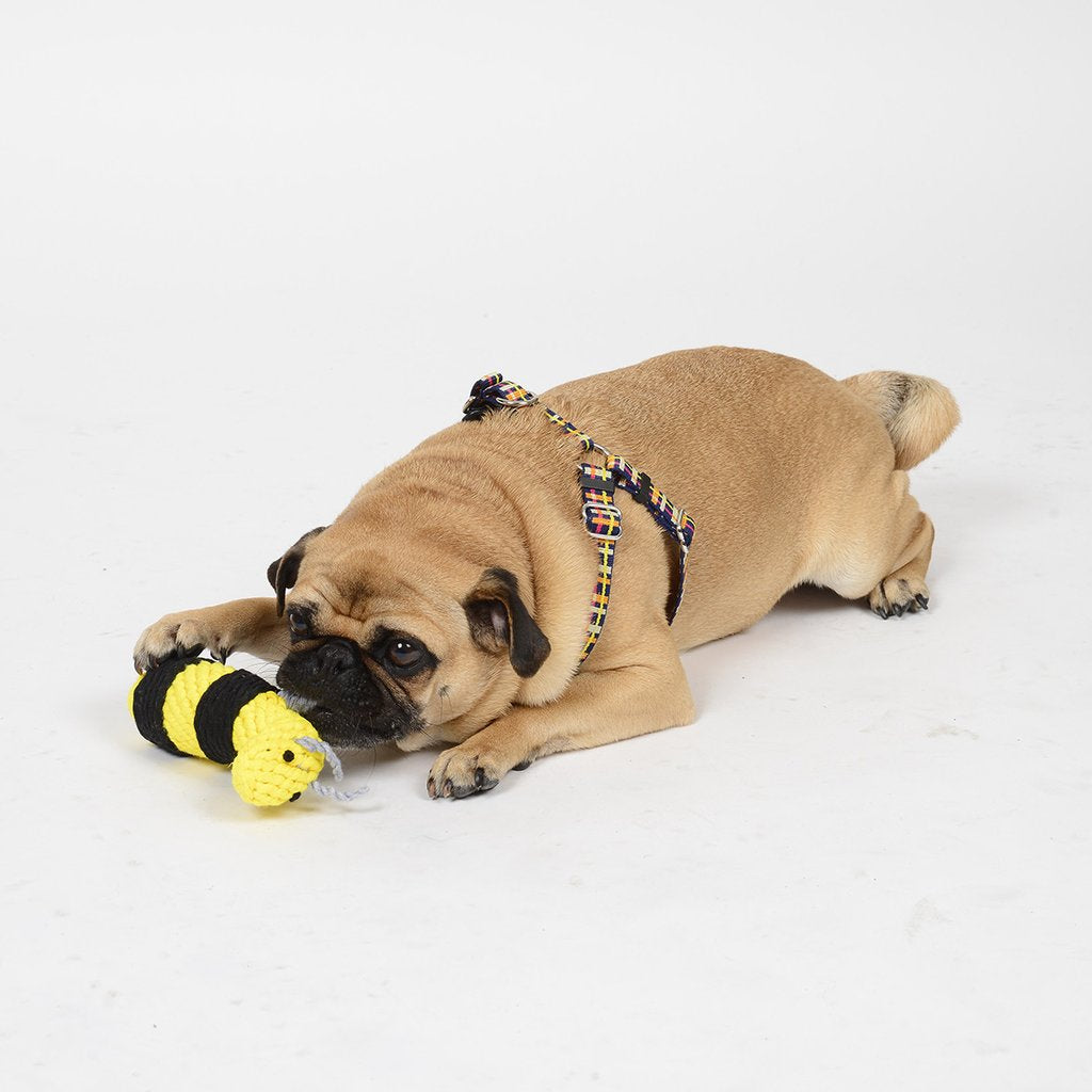 WAGGO | Buzzy Bumble Bee Toy Play WAGGO   