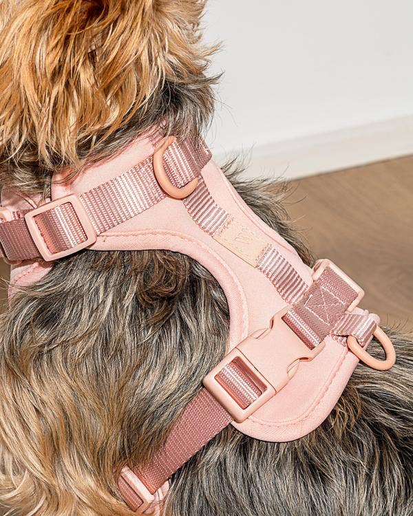 Cushioned Dog Harness in Blush WALK WILD ONE   