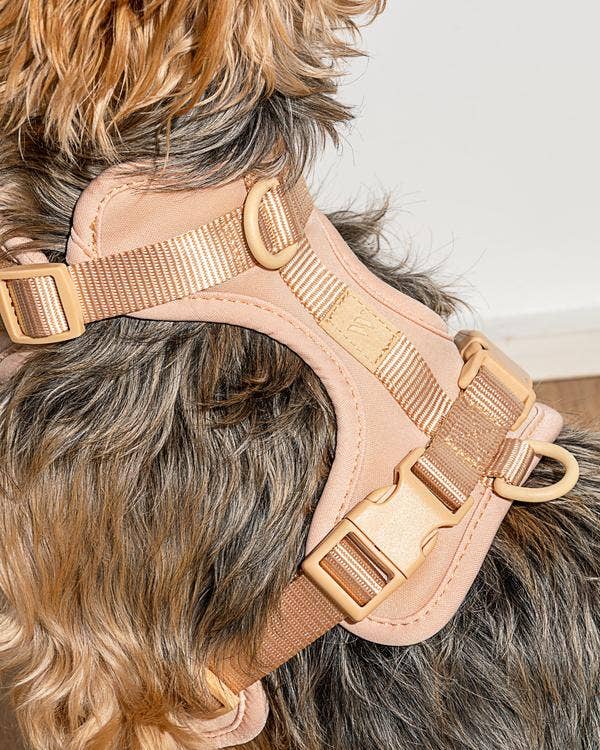 Cushioned Dog Harness in Tan << FINAL SALE >> WALK WILD ONE   
