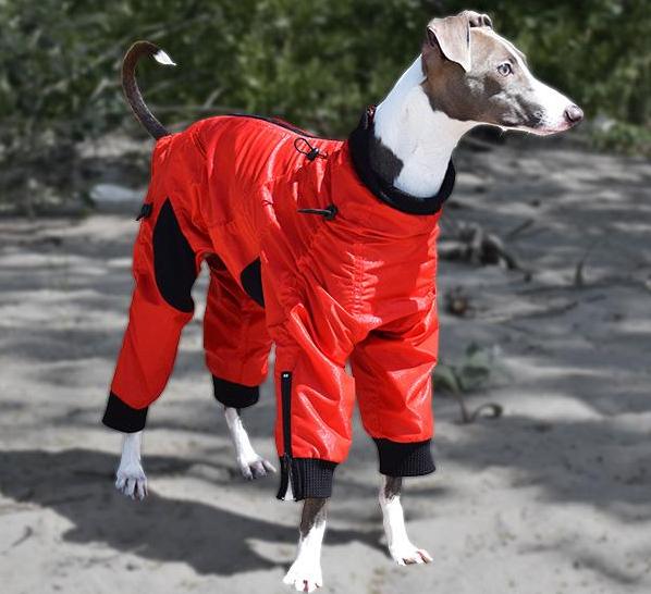 Zippy suits clearance