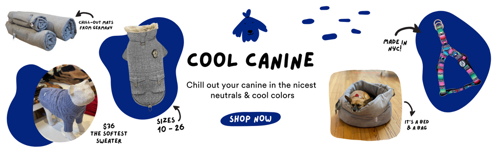 Cool Canine (Fall 2021)