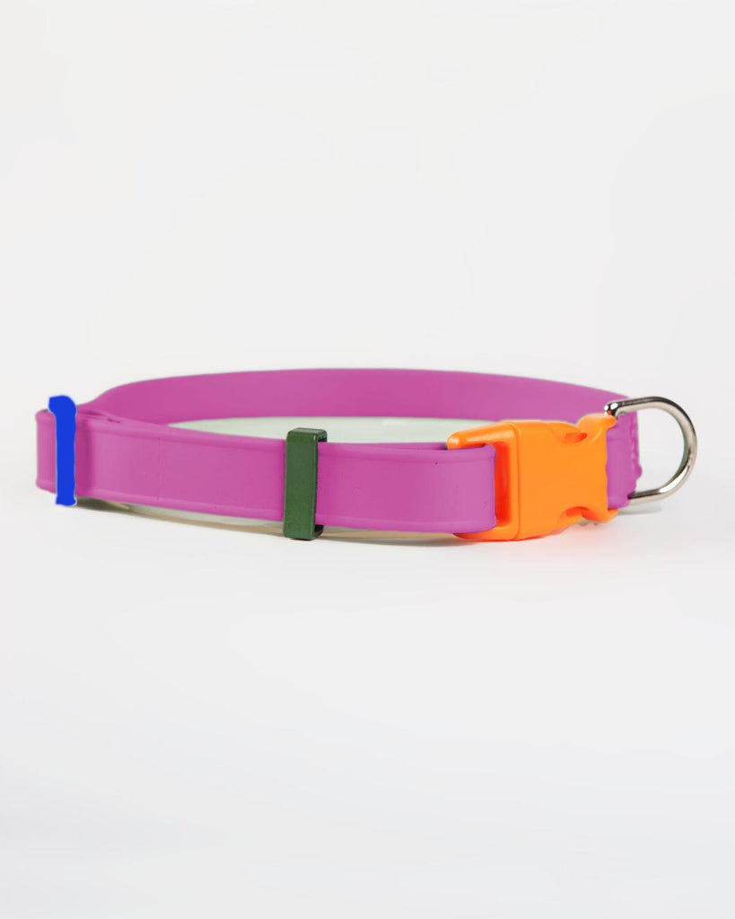 A Walk in the Park Dog Collar in Magenta Pink (Made in the USA) WALK DOG & CO. COLLECTION