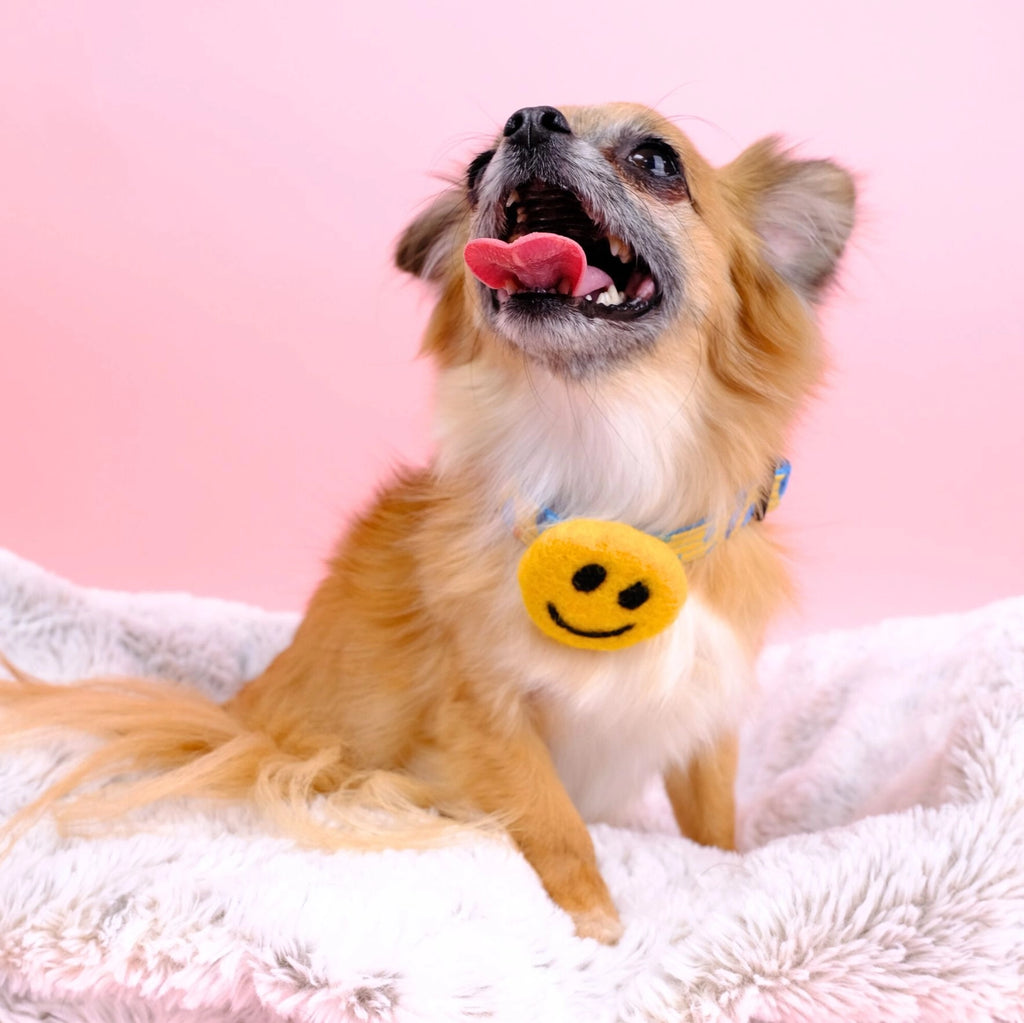 Smiley Face Collar Accessory (Made in the USA) Wear MIMI GREEN
