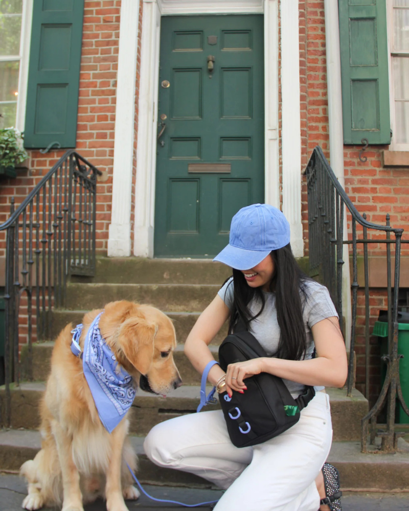 Waterproof Dog Walking Bag w/ Removable Treat Pouch WALK MOLO MODERN PET