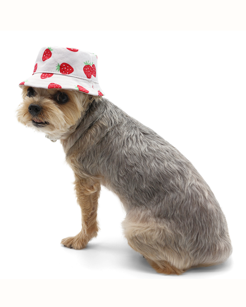 DOGO | Strawberry Bucket Hat for Dogs | DOG & CO.