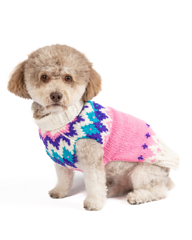 12 Indie Dog Companies to Shop for Your Precious Pooch - Brit + Co