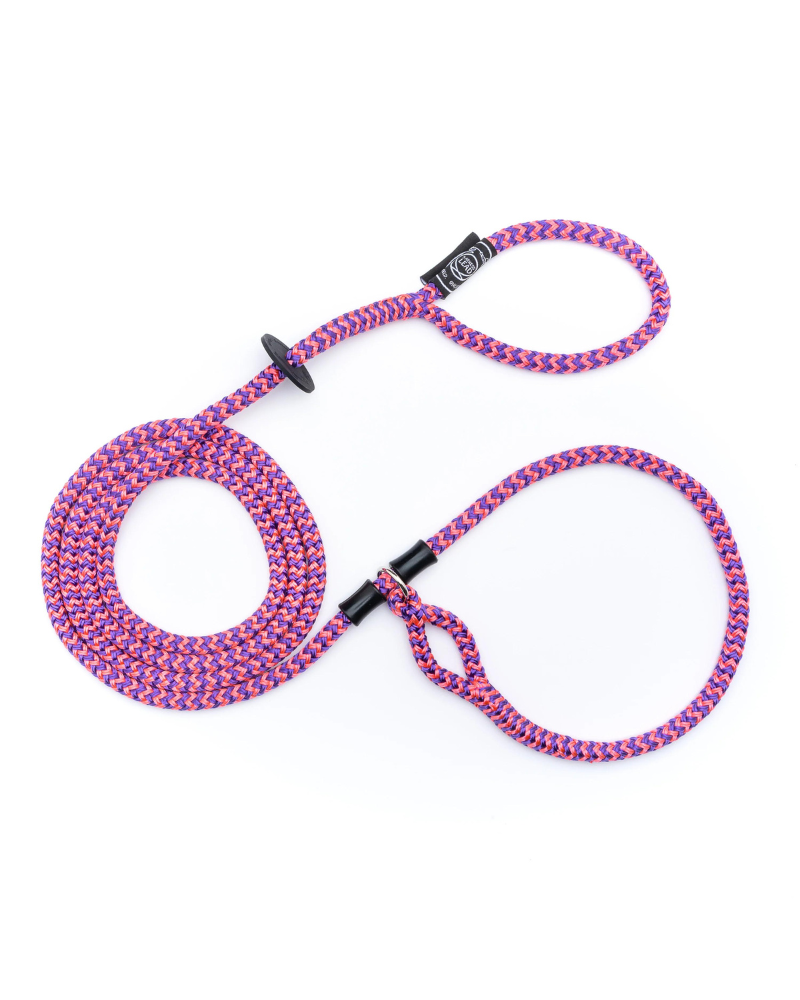 Non-Pull Escape Resistant Harness Lead (Made in the USA) WALK HARNESS LEAD Retro Pink/Purple Small/Medium (14-40 lbs) 