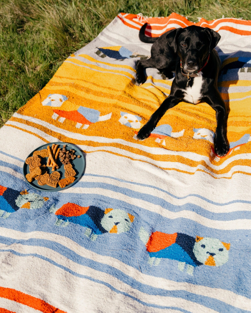 Perro Dorado Blanket Roll Home CAMINITO