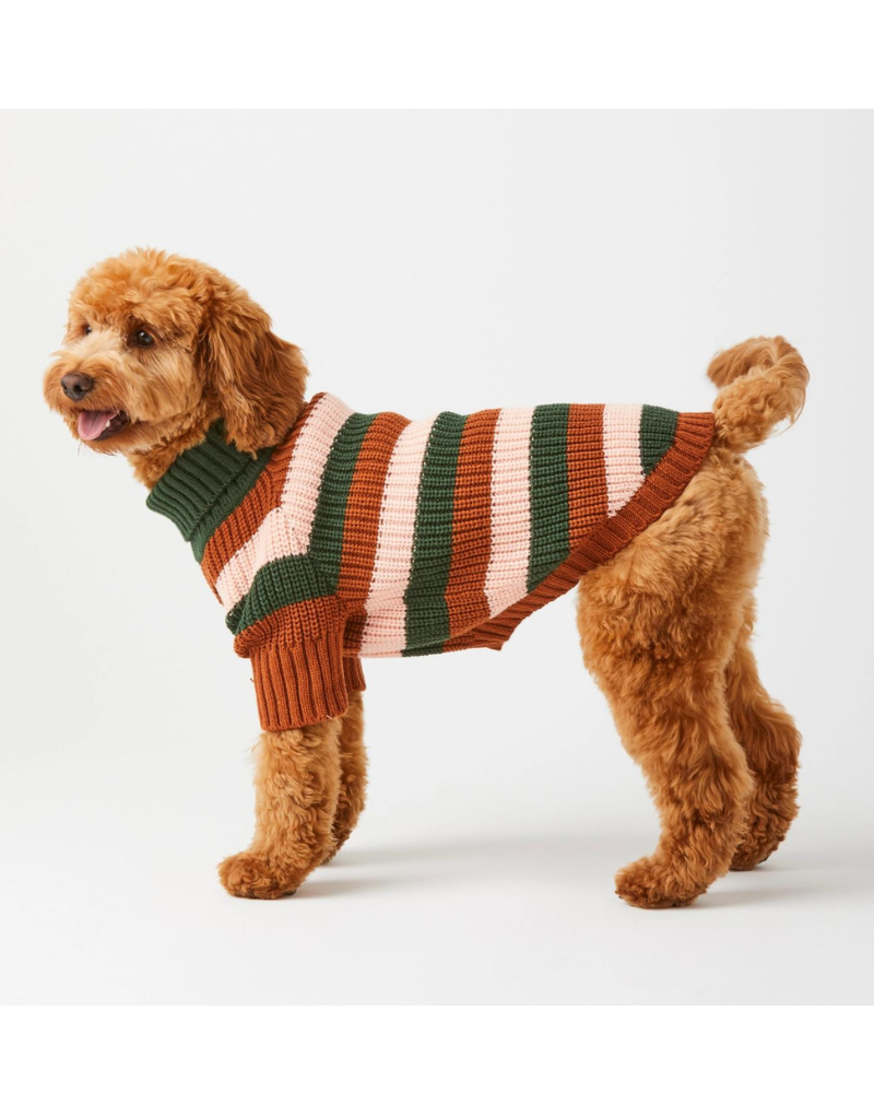 Bold Stripe Dog Sweater (FINAL SALE) Wear THE FOGGY DOG