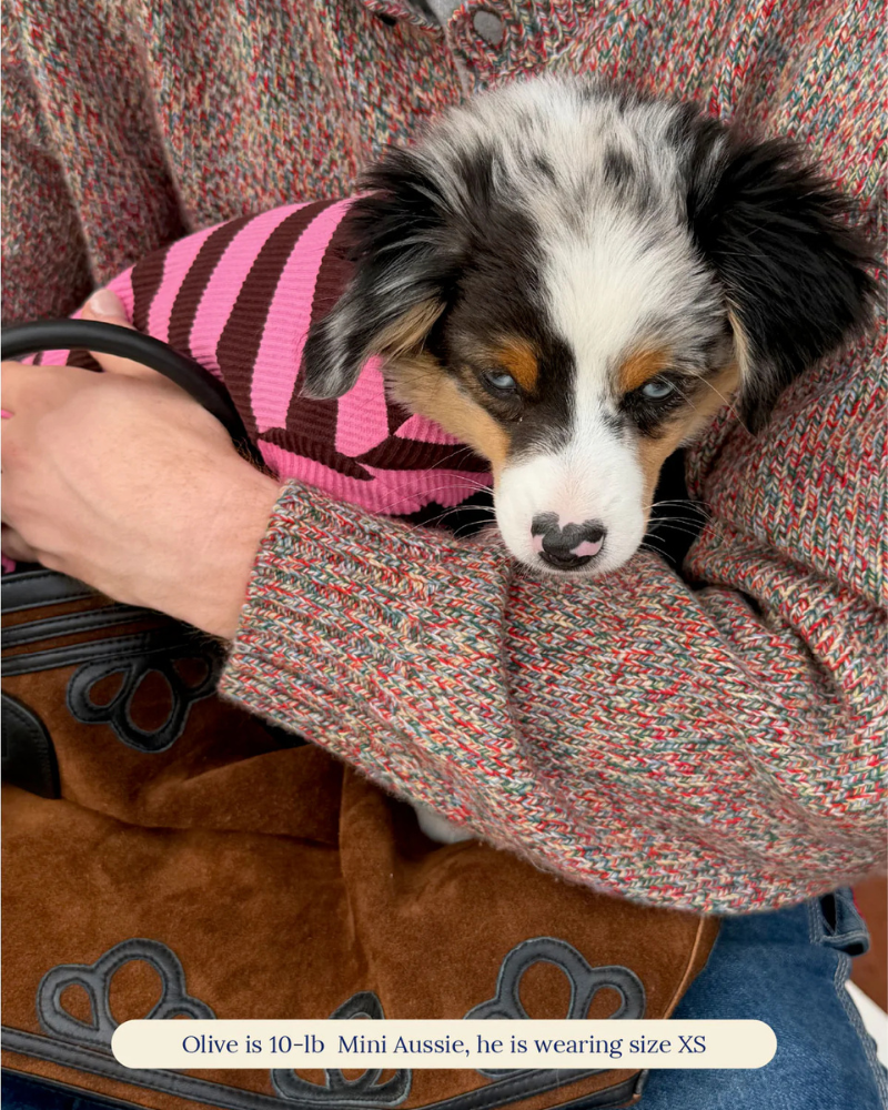 LITTLE BEAST | Ribbed Dog Onesie in Cheshire | DOG & CO.