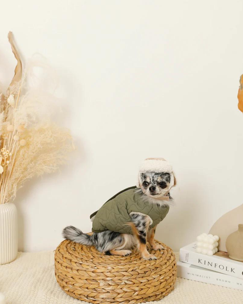 Corduroy Pet Flight Cap Wear MONCHERI   