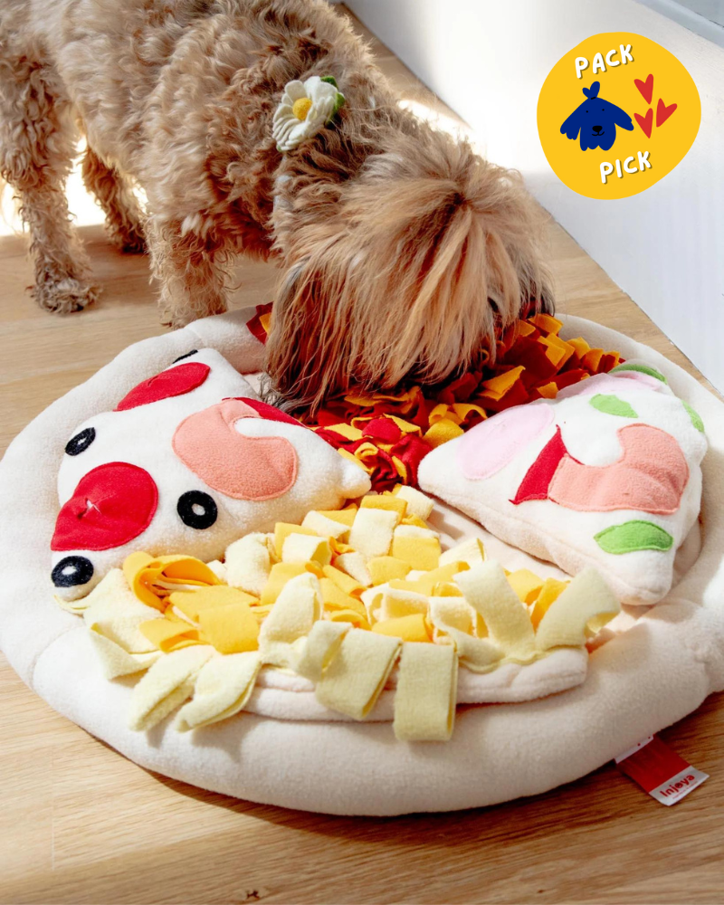 Pizza Snuffle Mat for Dogs & Cats PLAY INJOYA   