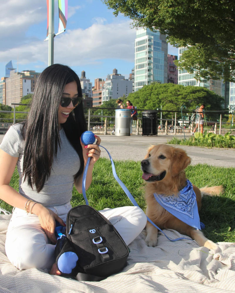 Waterproof Dog Walking Bag w/ Removable Treat Pouch WALK MOLO MODERN PET