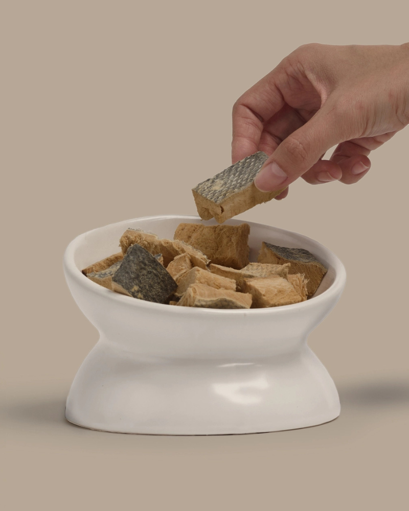 Freeze-Dried Salmon On-the-Go Dog Treat Pack Eat MAX & BELLA