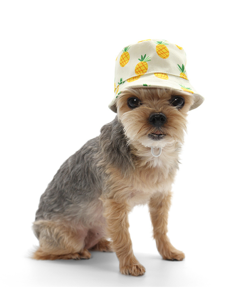 Pineapple Bucket Hat for Dogs Wear DOGO