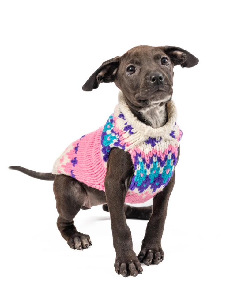 Ski Bum Dog Sweater in Pink (FINAL SALE) Wear CHILLY DOG   