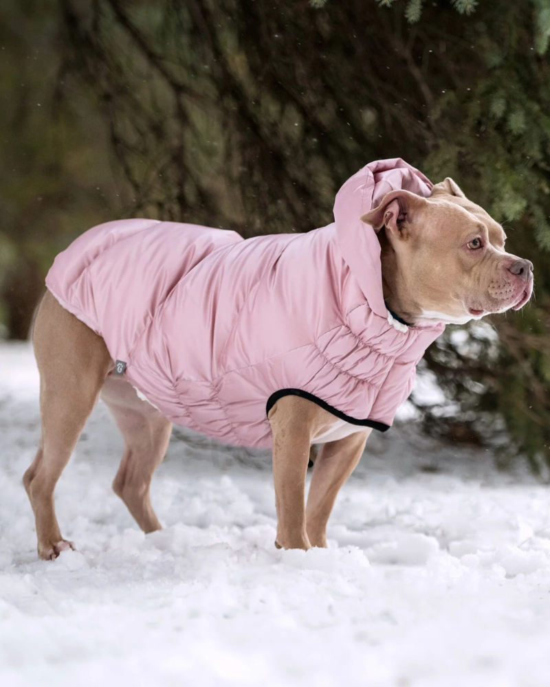Lunar Glow Dog Parka in Pink Wear GF PET