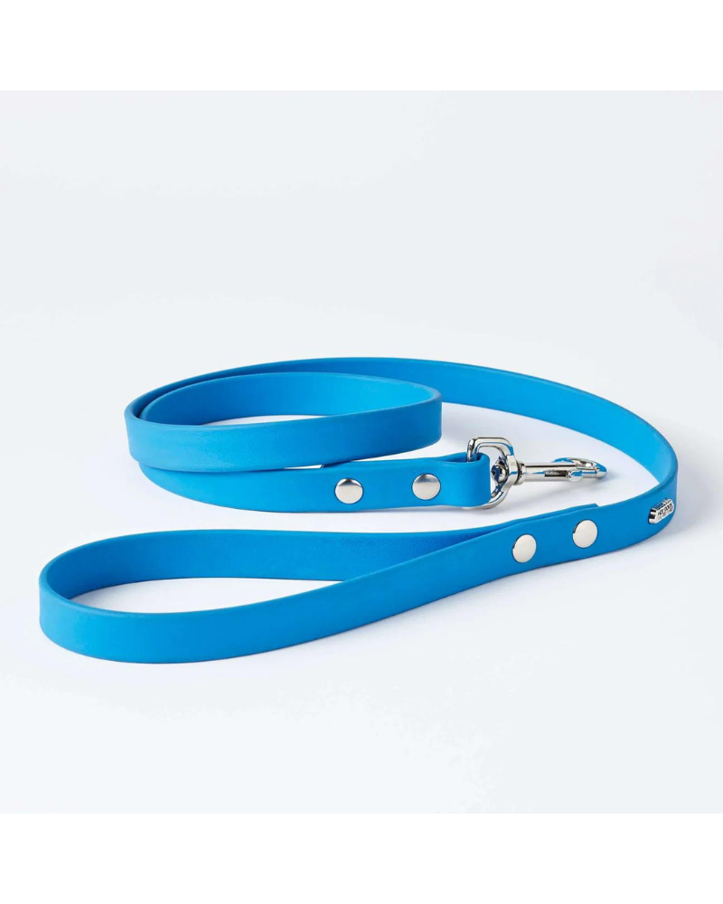 Vegan Leather Dog Leash in Sky Blue (Made in Canada) WALK HOT DOGS ALL DRESSED   