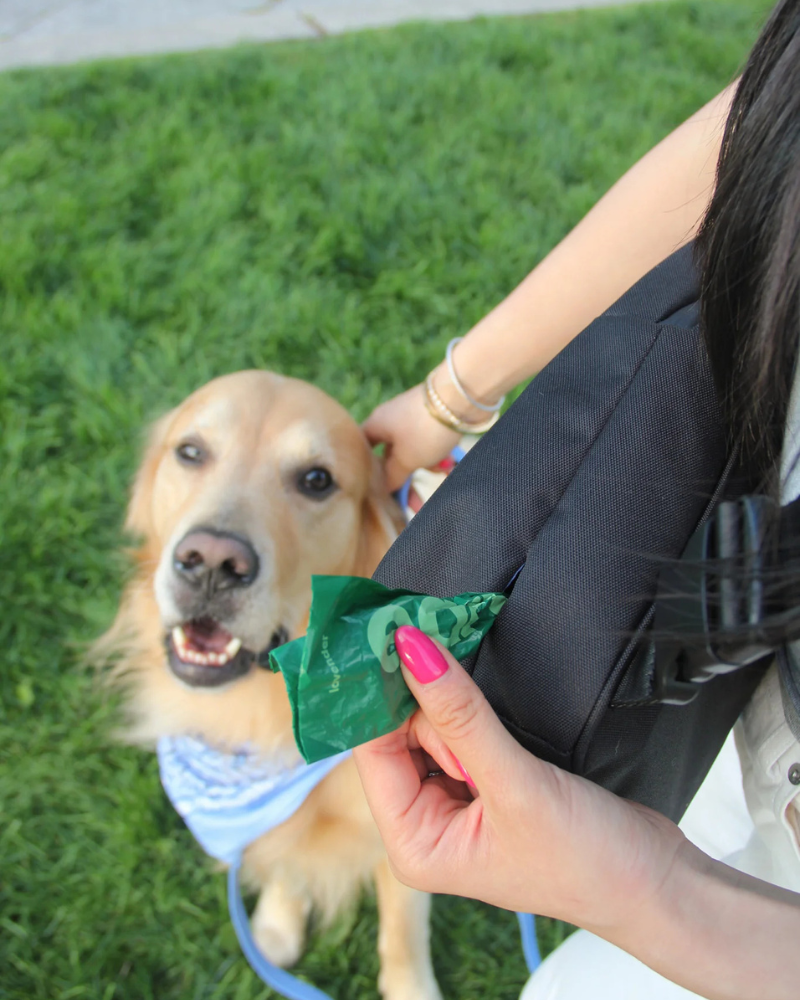 Waterproof Dog Walking Bag w/ Removable Treat Pouch WALK MOLO MODERN PET