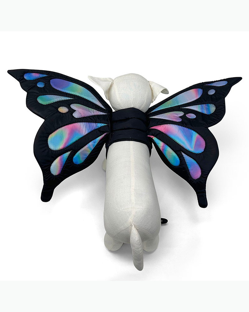 Adjustable Tie-On Butterfly Wings for Dogs Wear DOGO   